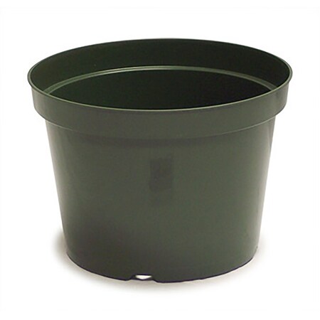 Hc Companies Azalea 12 in. D Plastic Grower Pot Evergreen AZN12000B71C012